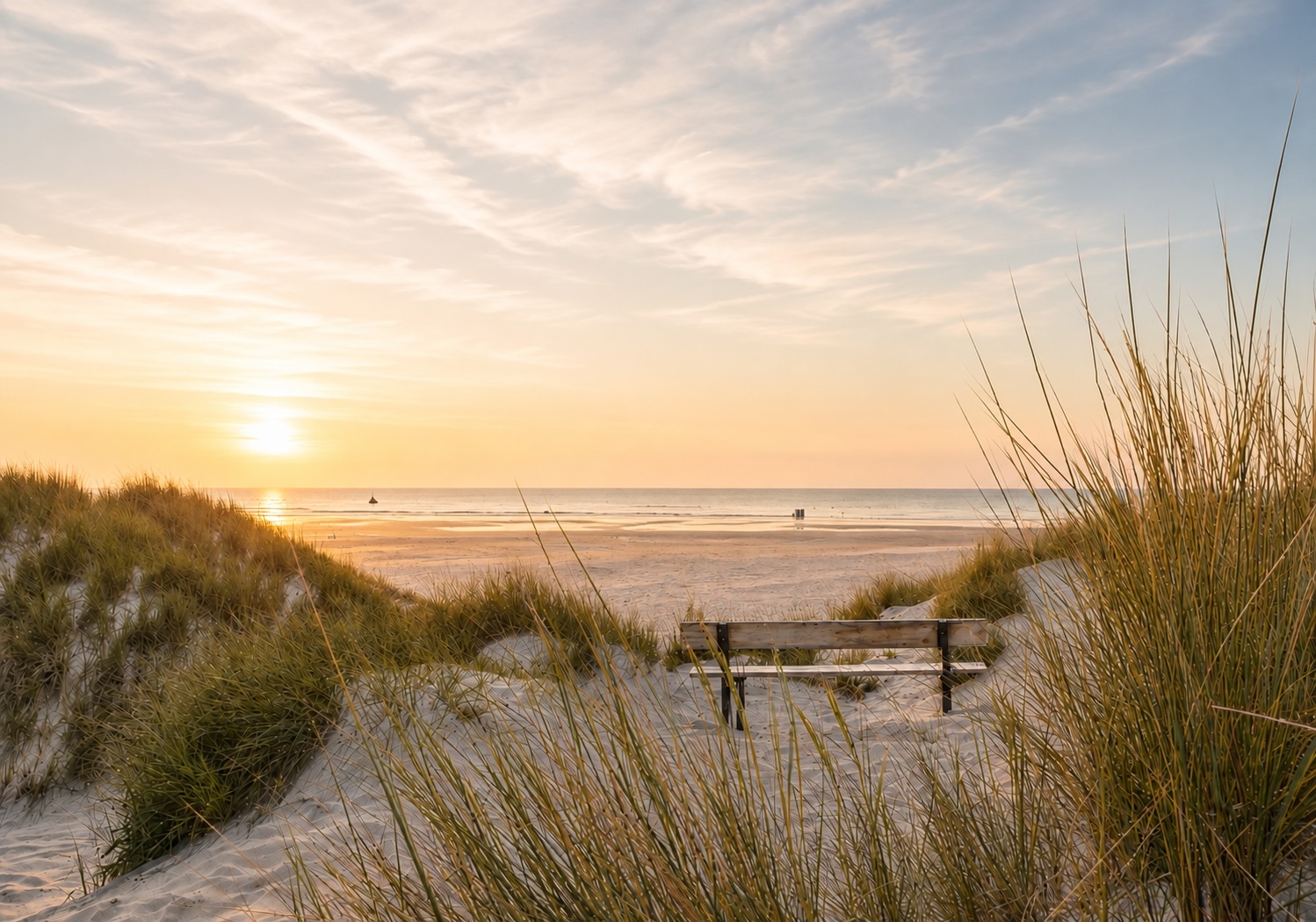 Dünenlandschaft mit Strandgras und Sitzbank als Symbol für Ruhe und Entspannung im Hypnosezentrum Cuxhaven